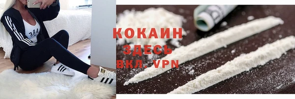 ALPHA PVP Богородицк