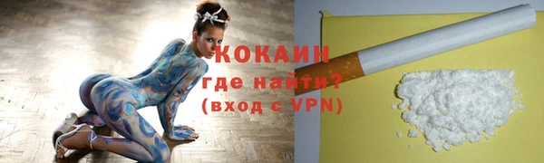 твердый Богданович