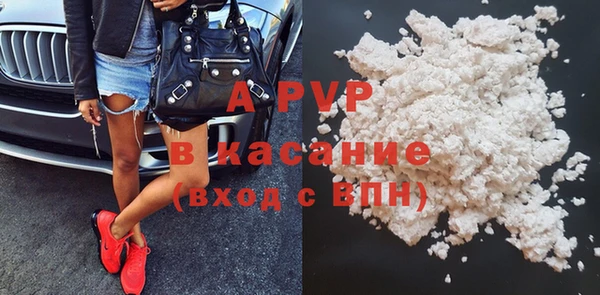 твердый Богданович