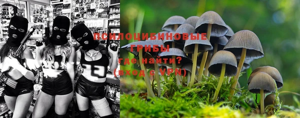 твердый Богданович