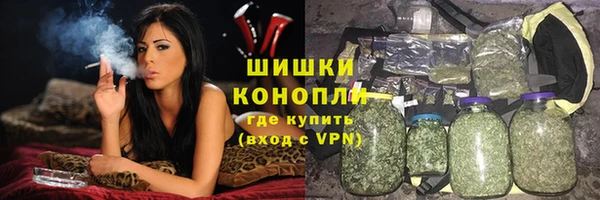 твердый Богданович