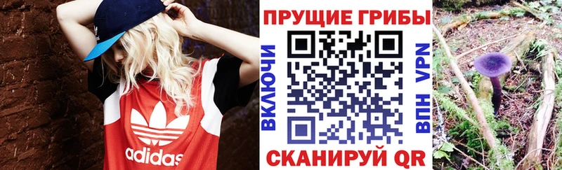 Галлюциногенные грибы Psilocybine cubensis  даркнет сайт  Калуга 